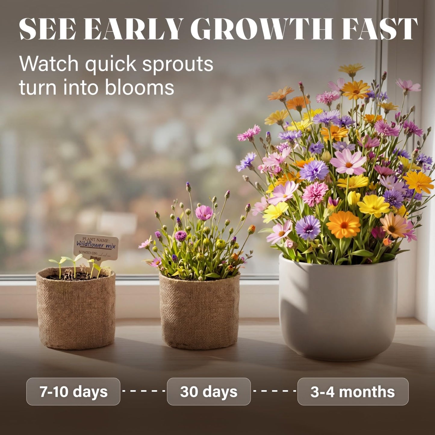 AVERGO Wildflower Seed Mix Growing Kit - Perennial Wild Flowers | Ideal Gift for Mother's Day - Also Includes Planters, Soil, Wooden Box, and Gardening Tools for Indoor Garden and Patio Planting