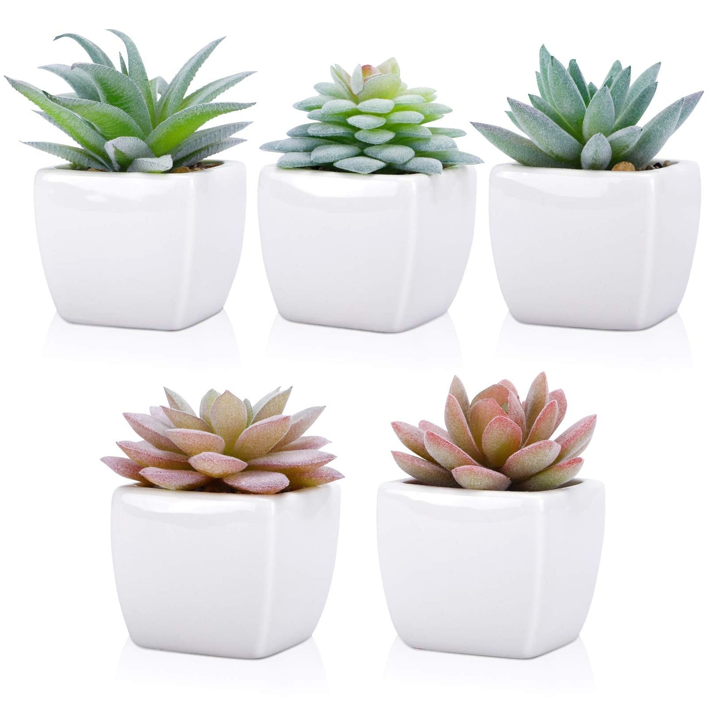FUNARTY 5pcs Artificial Succulent Plants, Small Fake Desk Plants Mini Succulents Indoor for Shelf Living Room Bedroom Windowsills Office Home Decoration (Include White Ceramic Pots)