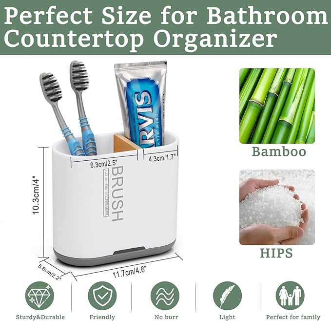 Toothbrush and Toothpaste Holder