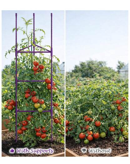 Growsun 51 inch Tomato Cage Heavy-Duty Plant Support Cucumber & Vine Vegetables – Adjustable Purple Metal Garden Trellis for Climbing Plants, Indoor & Outdoor Use, 3 Pack