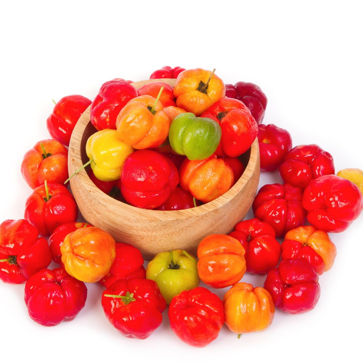 2 Barbados Cherry Plants Live, Cold Hardy Cherry Tree Live Plant, 5-7'' Tall, Sweet Cherry Tree