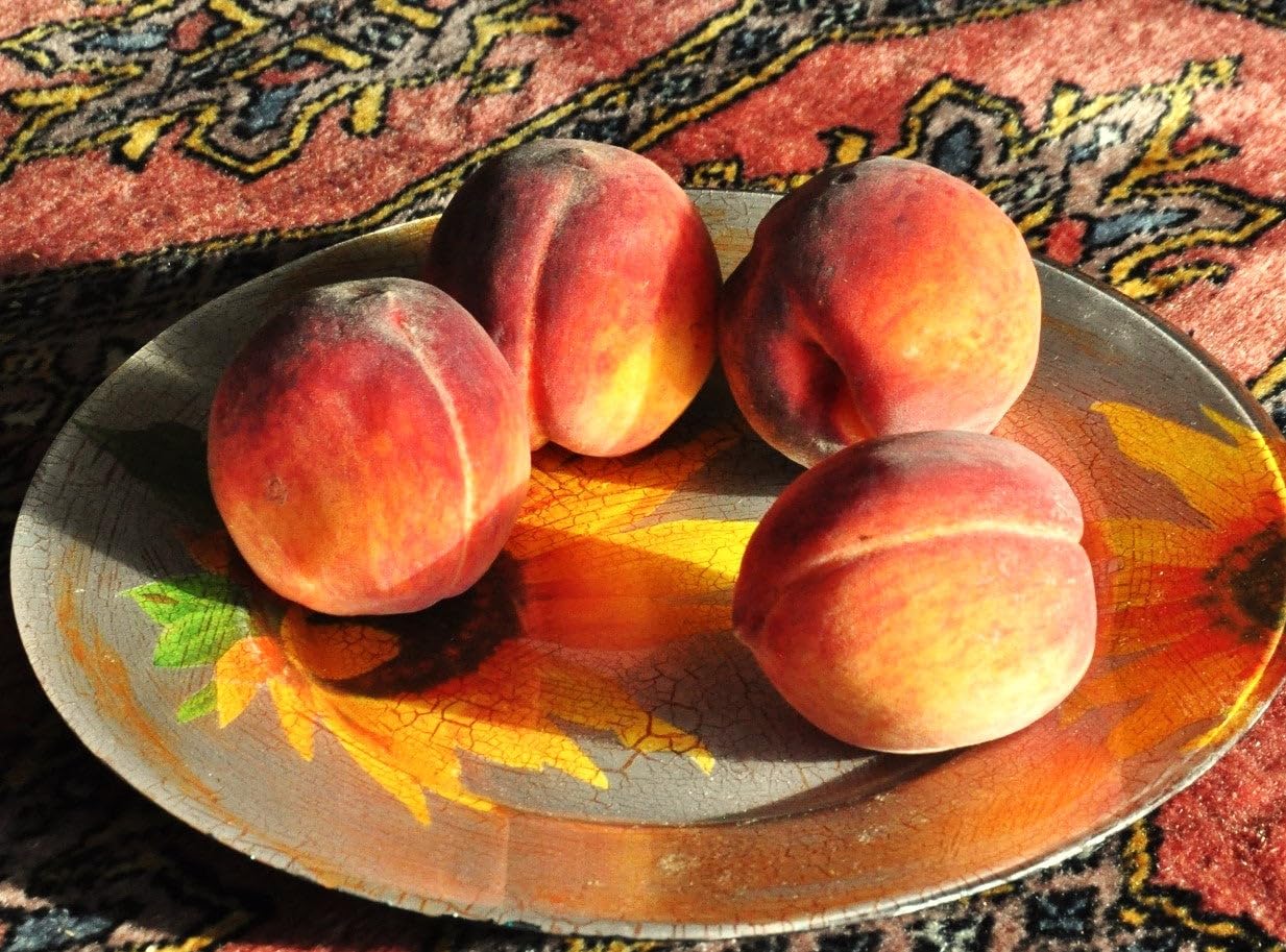 TomorrowSeeds - Nemaguard Peach Tree Seeds - 15+ Count - for 2026 Planting Prunus Persica Peaches Rootstock Nectarine Root Hardy Grafting Fruit Perennial Trees Pink Blossoms Grow Your Own Home Farm