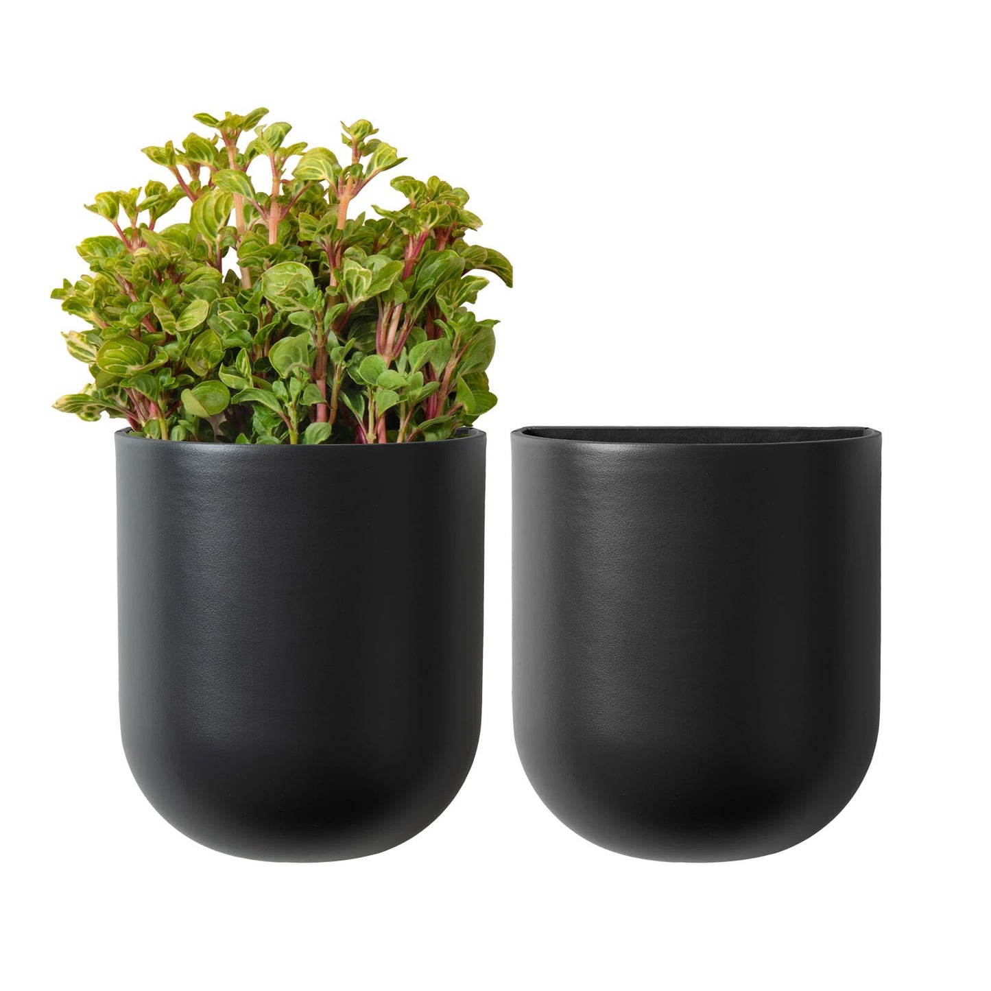 La Jolie Maison Wall Hanging Planters for Indoor Plants, Hanging Flower Pots for Air Plants Succulent, Set of 2, 6 Inch
