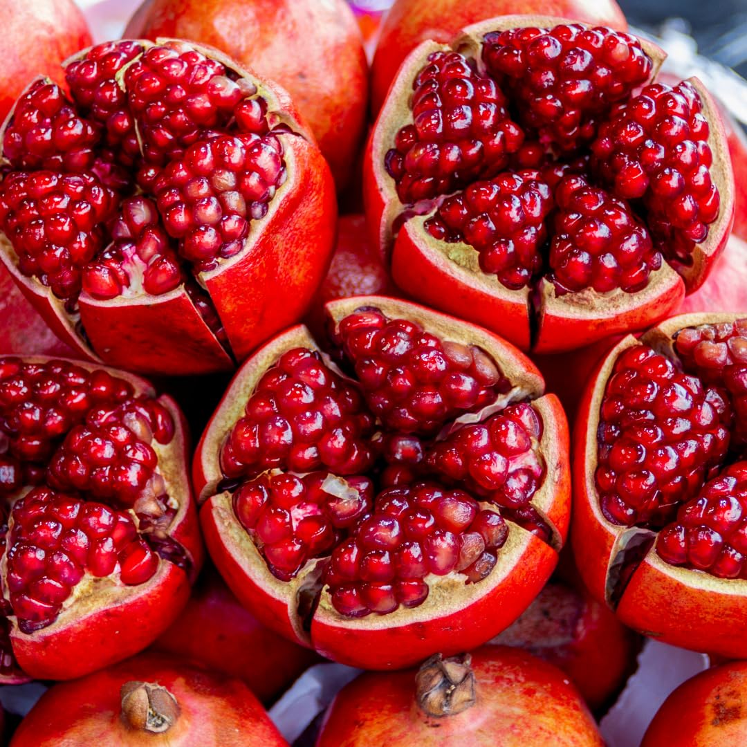 Live Pomegranate Tree Plant, Sweet Edible Pomegranate Fruit, 2-3 Feet Tall, Well-Rooted, Ready for Outdoor Planting