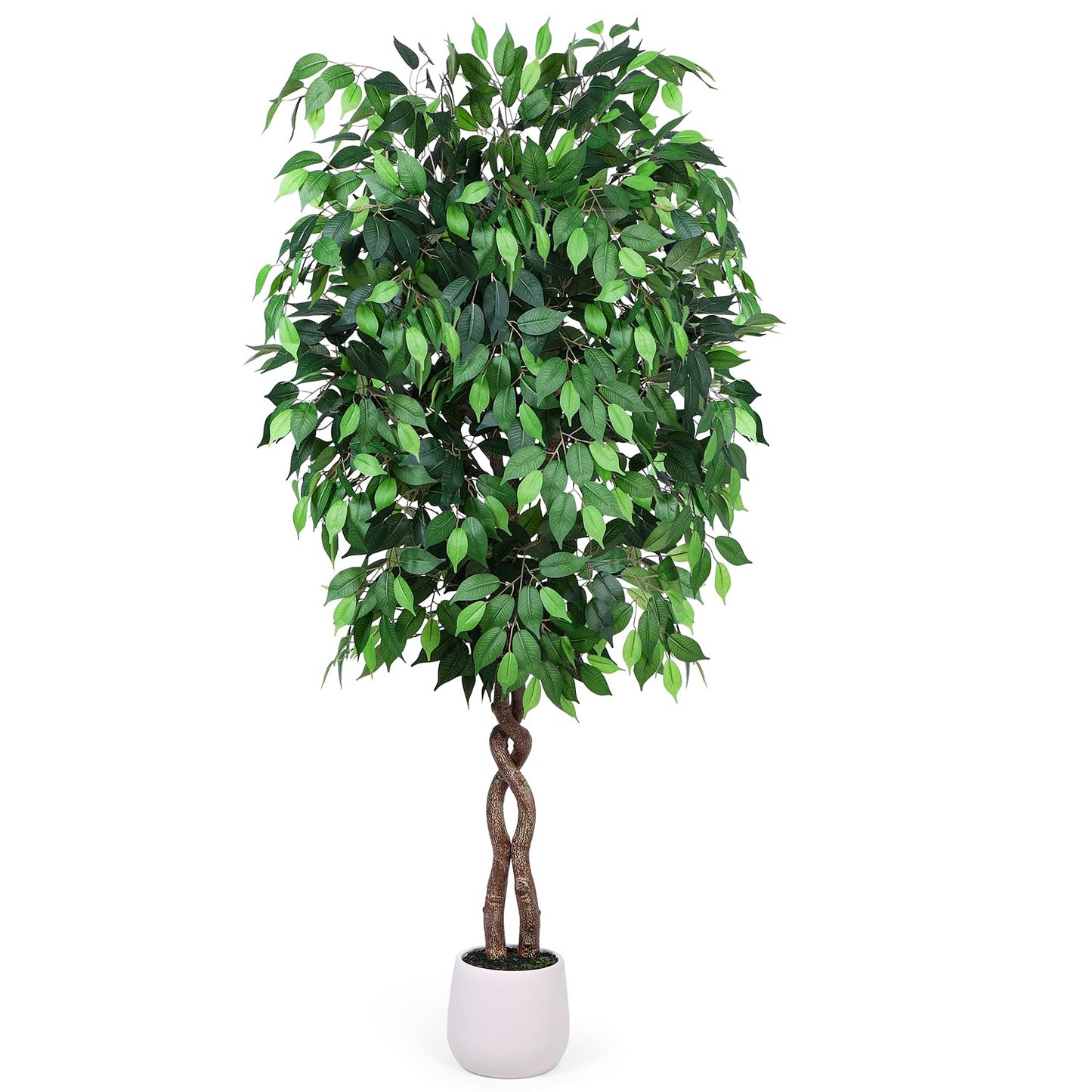 Jocoevol 6FT Artificial Ficus Tree, Tall Faux Trees Indoor with White Planter, Dried Moss, Natural Silk Leaves & Trunk, Fake Plants for Home Living Room Office Corner Decor Housewarming Gift