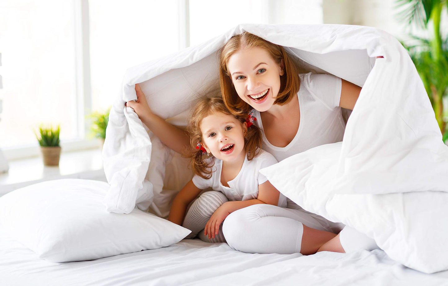 Elegant Comfort 1500 Thread Count Wrinkle & Fade Resistant Egyptian Quality 4-Piece Bed Sheet Set Ultra Soft Luxurious Set Includes Flat Sheet, Fitted Sheet and 2 Pillowcases, Full, Neon Green