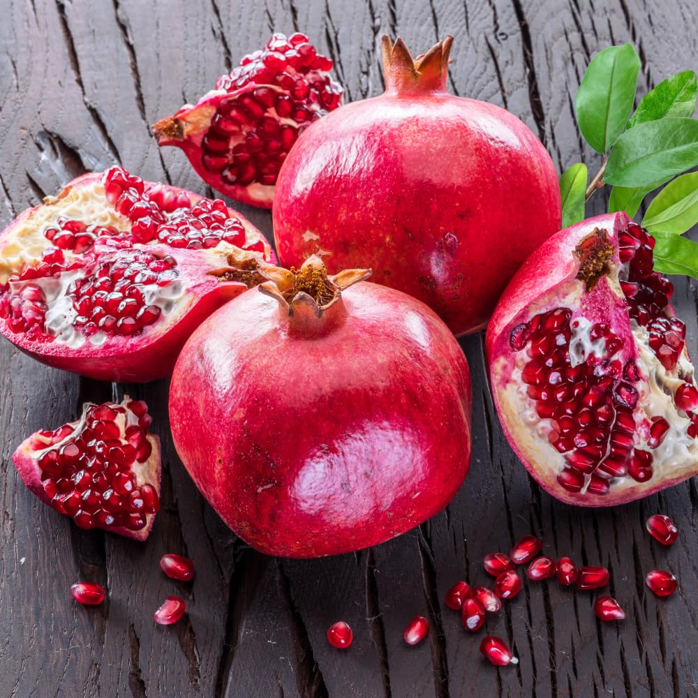 Pomegranate Tree Live Plant, Red Pomegranate Plant in 3 Gal Pot, Sweet Pomegranates, Full Rooted, Large Tree from 2-3 Feet Tall, No Ship to CA