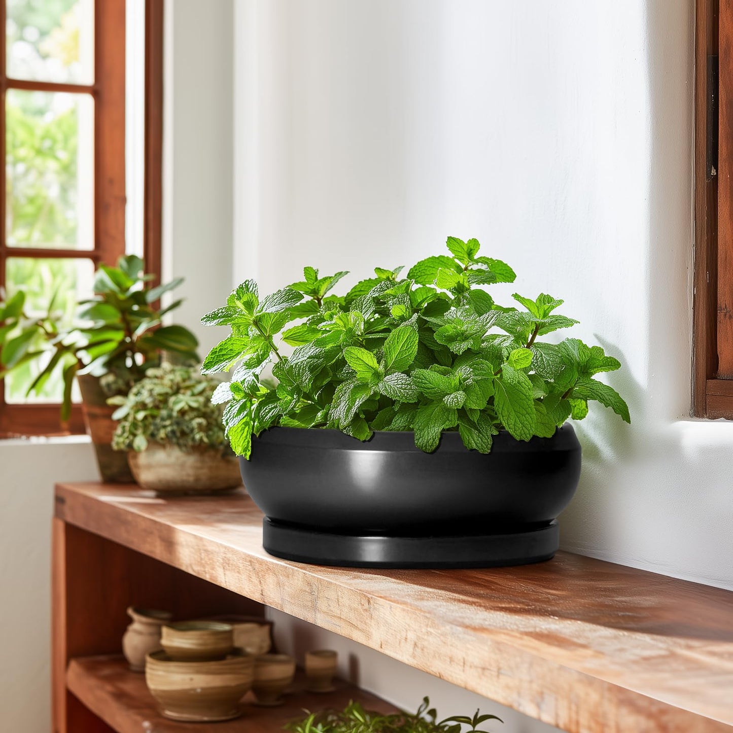 EPFamily Bonsai Pots 10 Inch - Ceramic Succulent Planters Indoor Outdoor, Bonsai Pots with Drainage Hole and Tray, Modern Shallow Planter, Round Bowl Planter, Garden Decor, Garden Gift, Black