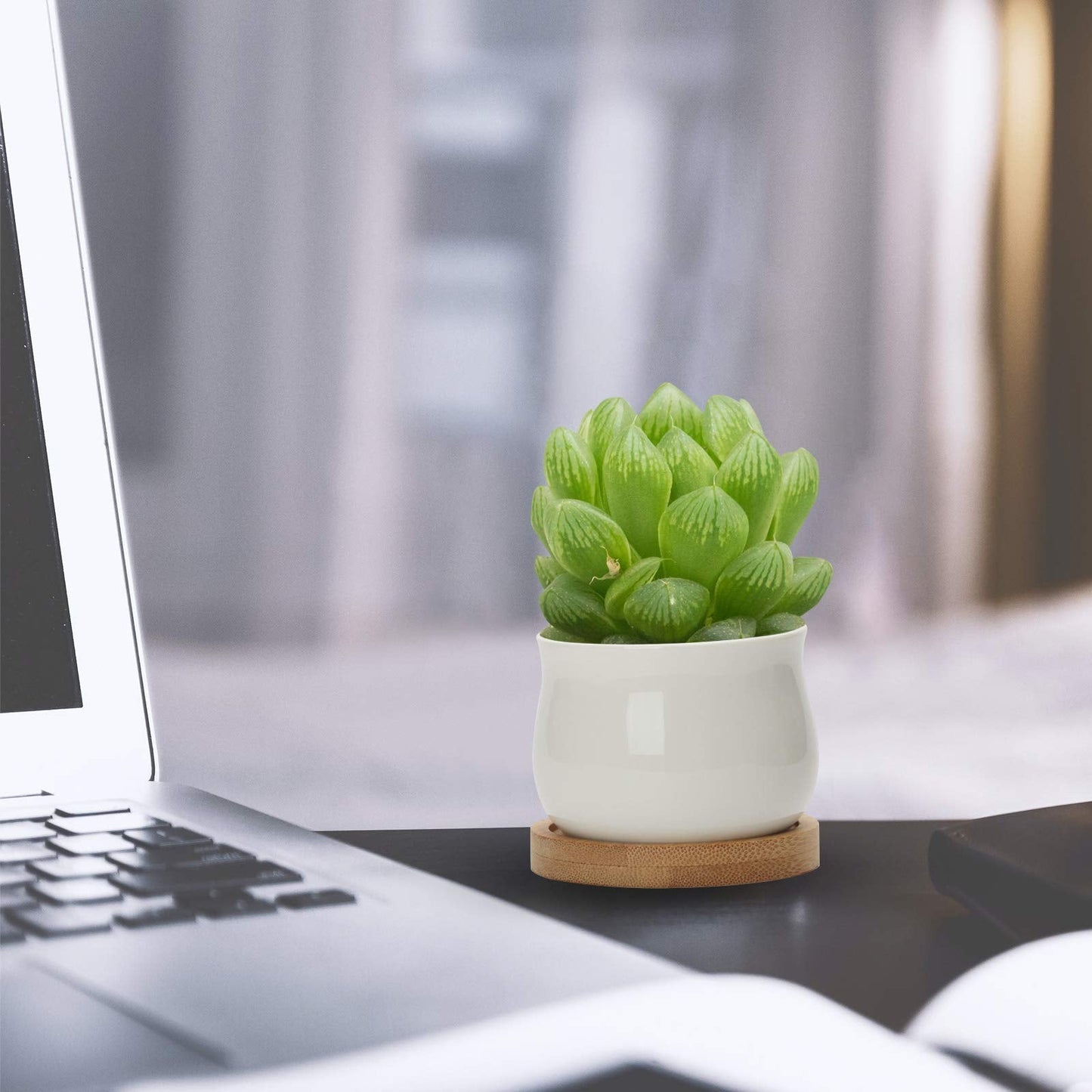 ZOUTOG 12 Pack Succulent Pots, 2.5 Inch White Mini Ceramic Planters with Drainage Hole, 2.5 inch Square Pattern Ceramic Planters, Plants Not Included