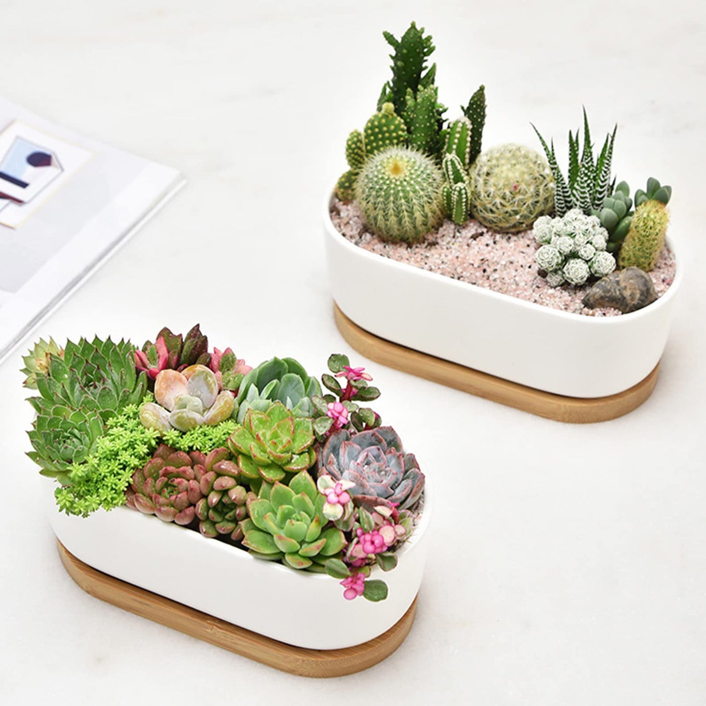 ARVINKEY White Ceramic Succulent Plant Pots, Indoor and Outdoor Succulent Planters, Set of 2 Small Cactus Containers, Bonsai Pots, Flower Pots with Drainage Hole and Bamboo Bowl (No Plant)