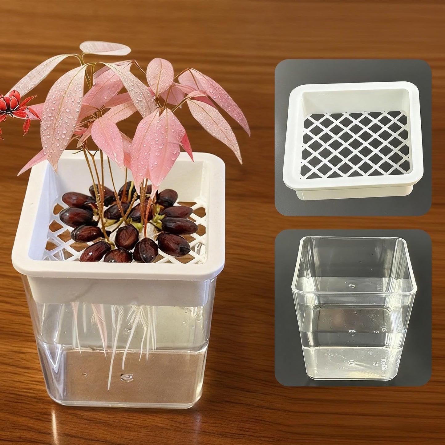 Flower Pots for Plants | Transparent Plant Containers,Outdoor Flower Pots | for Semi-Hydro Cuttings Seedlings African Violets Balcony Desk Garden Porch Windowsill Bedroom Living Room Yard