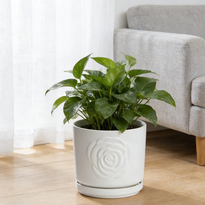 Ekirlin 7 Inch Indoor Plant Pots, White Ceramic Flower Planters, Modern Style Succulents Containers with Drain Hole & Saucer Tray, Weatherproof Pot for Decorate Home,Office & Outdoor (Rose Design)