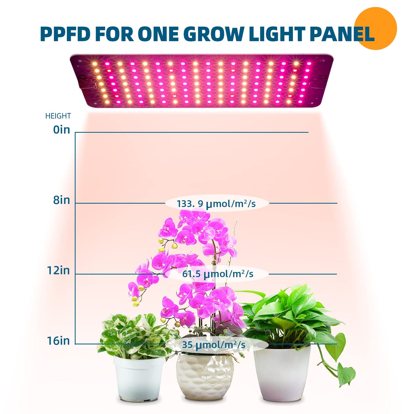 Barrina Grow Lights for Indoor Plants, 20W (2 x 10W) Full Spectrum Ultra-Thin Grow Light Panel with 3/6/12H Auto On/Off Timer for Hydroponics, Seedlings, Succulents, Veg, Flowers & More, 2-Pack