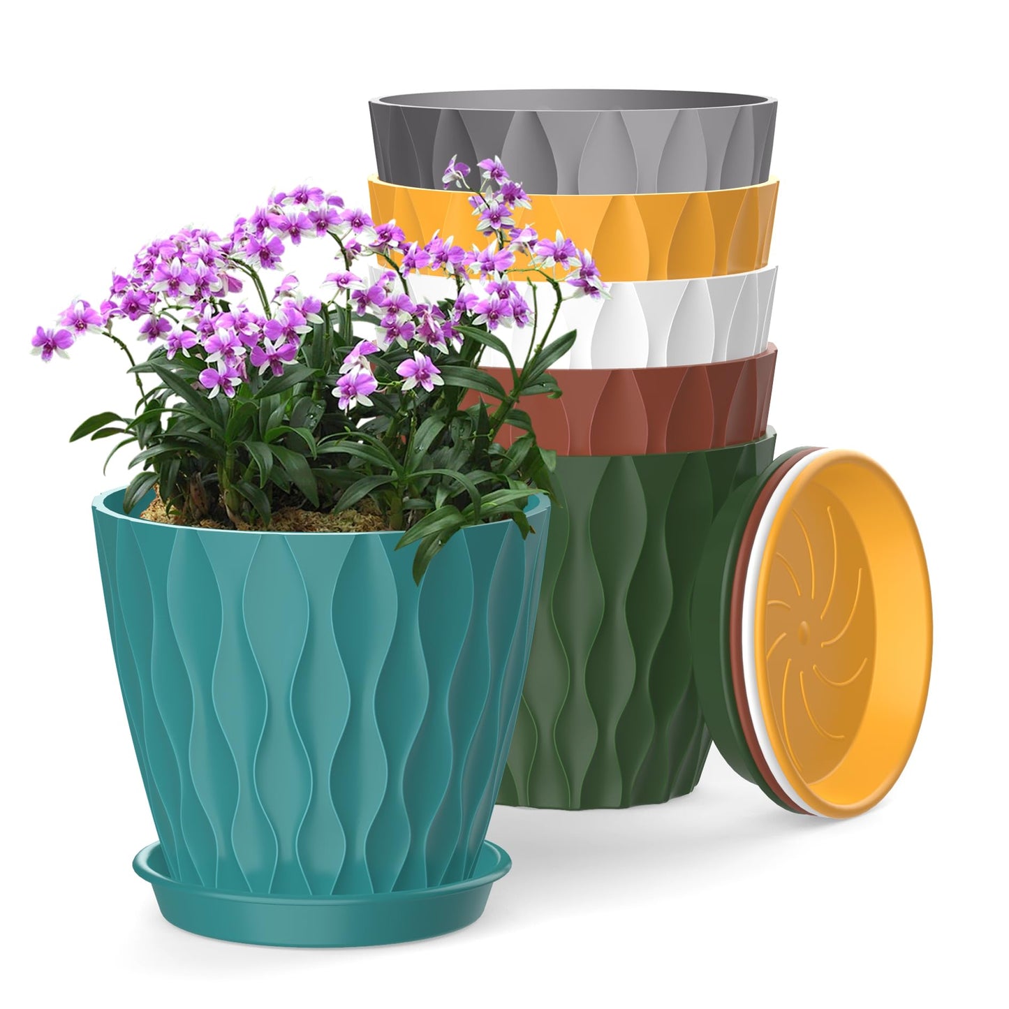 SQKH 6 Inch Plant Pots, 6 Pack Indoor Flower Pots, Planters with Drainage Holes and Trays for Orchids, Violets, Succulents, Herbs, and Other Plants,Corolful