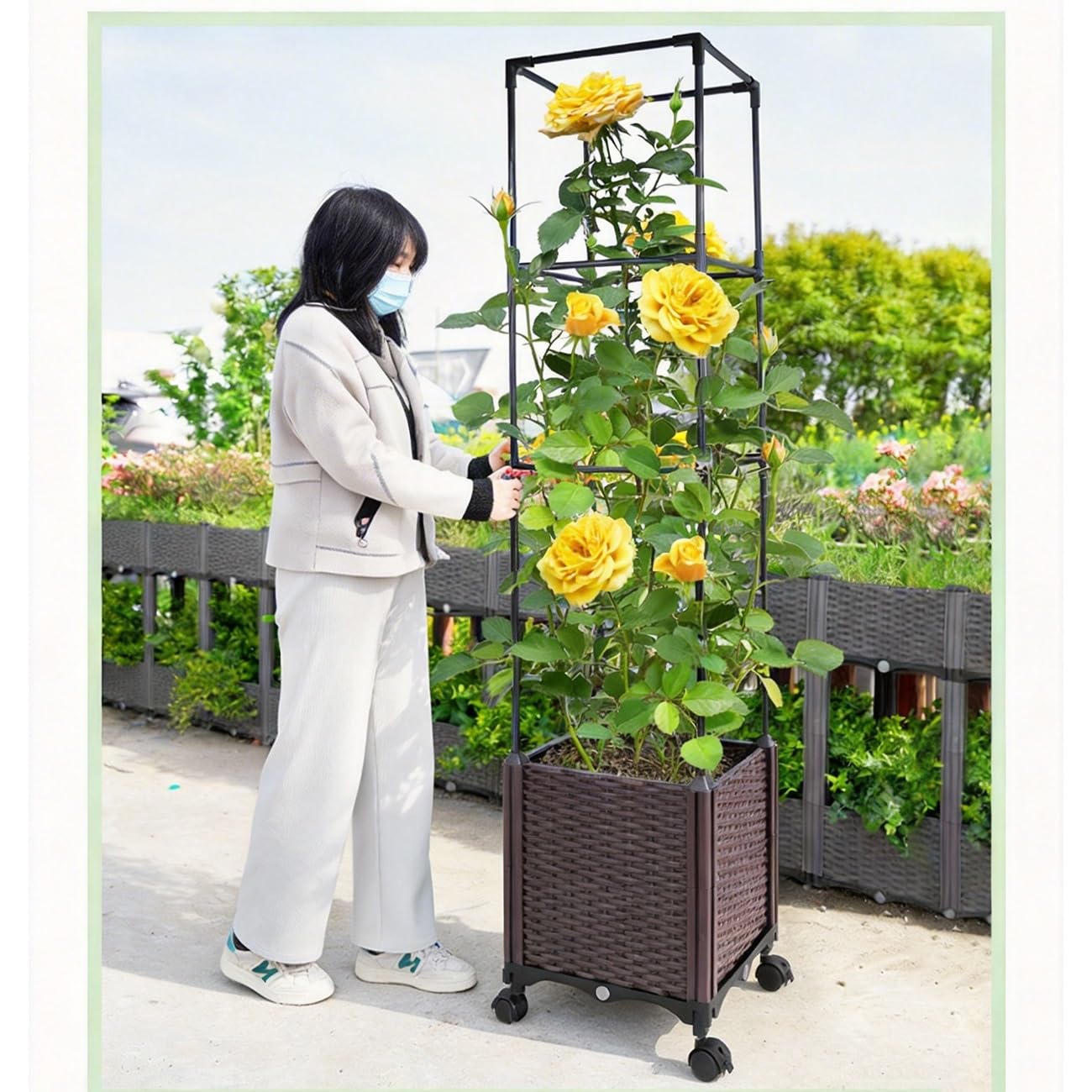 2-in-1 Raised Garden Bed Planter Box with Trellis Wheels, Tomato Cage for Indoor Outdoor Climbing Plants Vegetable Vine Flowers(180cm/70.9″)