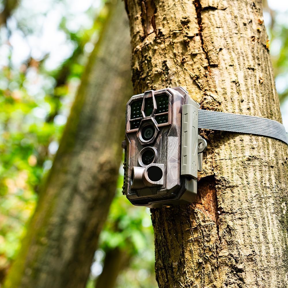 GardePro E5S 2-Pack Trail Camera (Non-Cellular, Non-WiFi), 64MP Photo & 1296P HD Video, 0.1s Trigger, 100ft No-Glow Night Vision, Motion Activated Wildlife Camera
