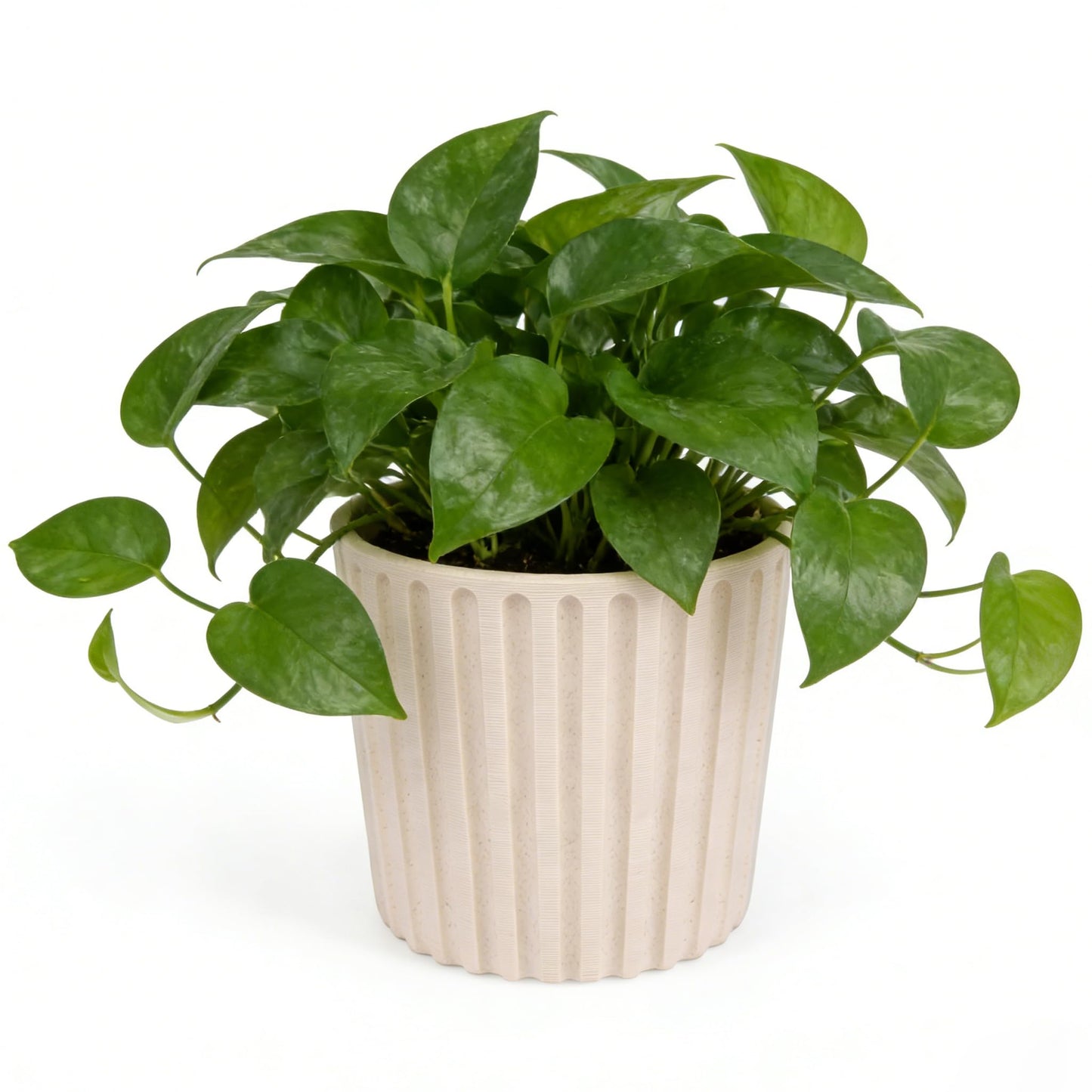 Ekirlin 7 Inch Indoor Plant Pot, Natural Resin Modern Planters, Graceful Curves Textures Garden Pot with Drainage Hole, Removable Rubber Stopper and Non-Slip Soft Pad, Decorative Pot for Home/Outdoor