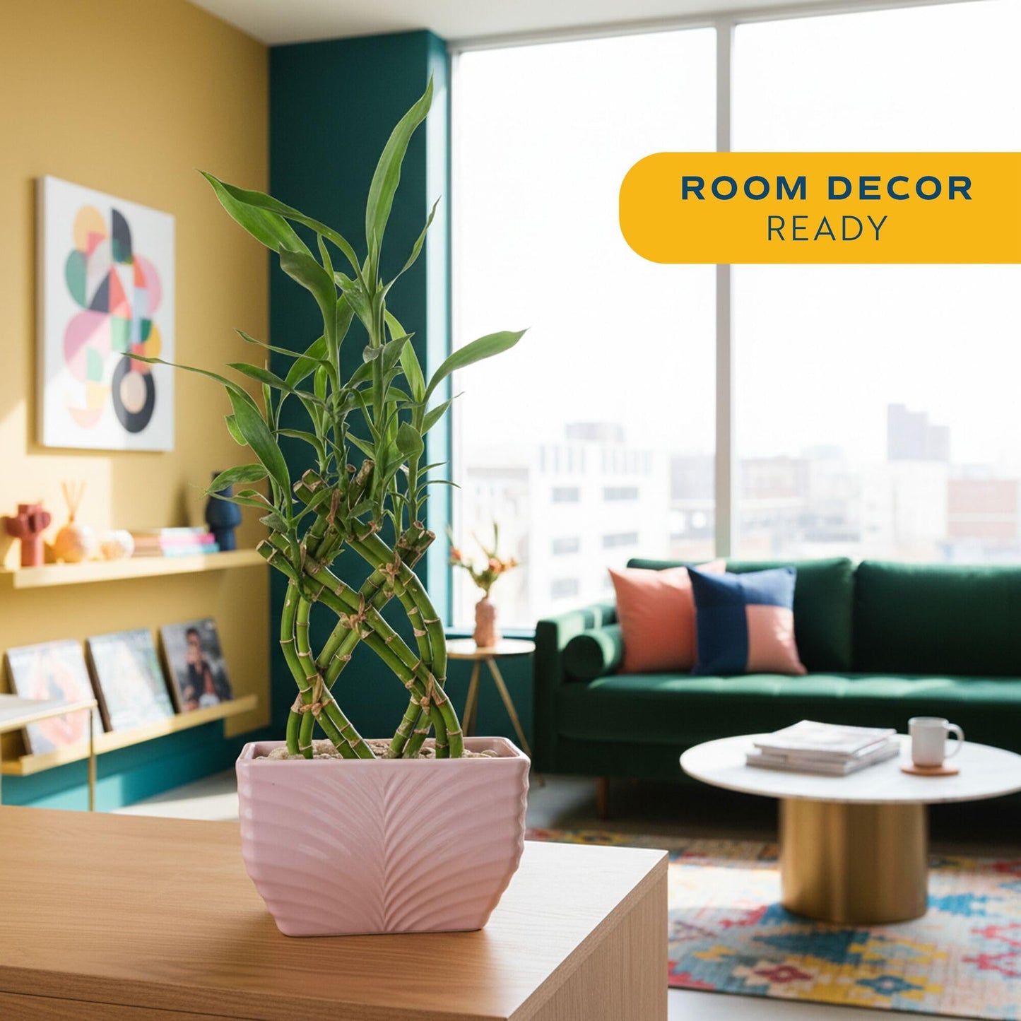 Costa Farms Lucky Bamboo Plant, Easy to Grow Live Houseplant in Indoor Bamboo Pot, Potting Mix, Grower's Choice, Birthday Gift, Home, Office, Plant Shelf Zen Room Decor, 12-Inches Tall