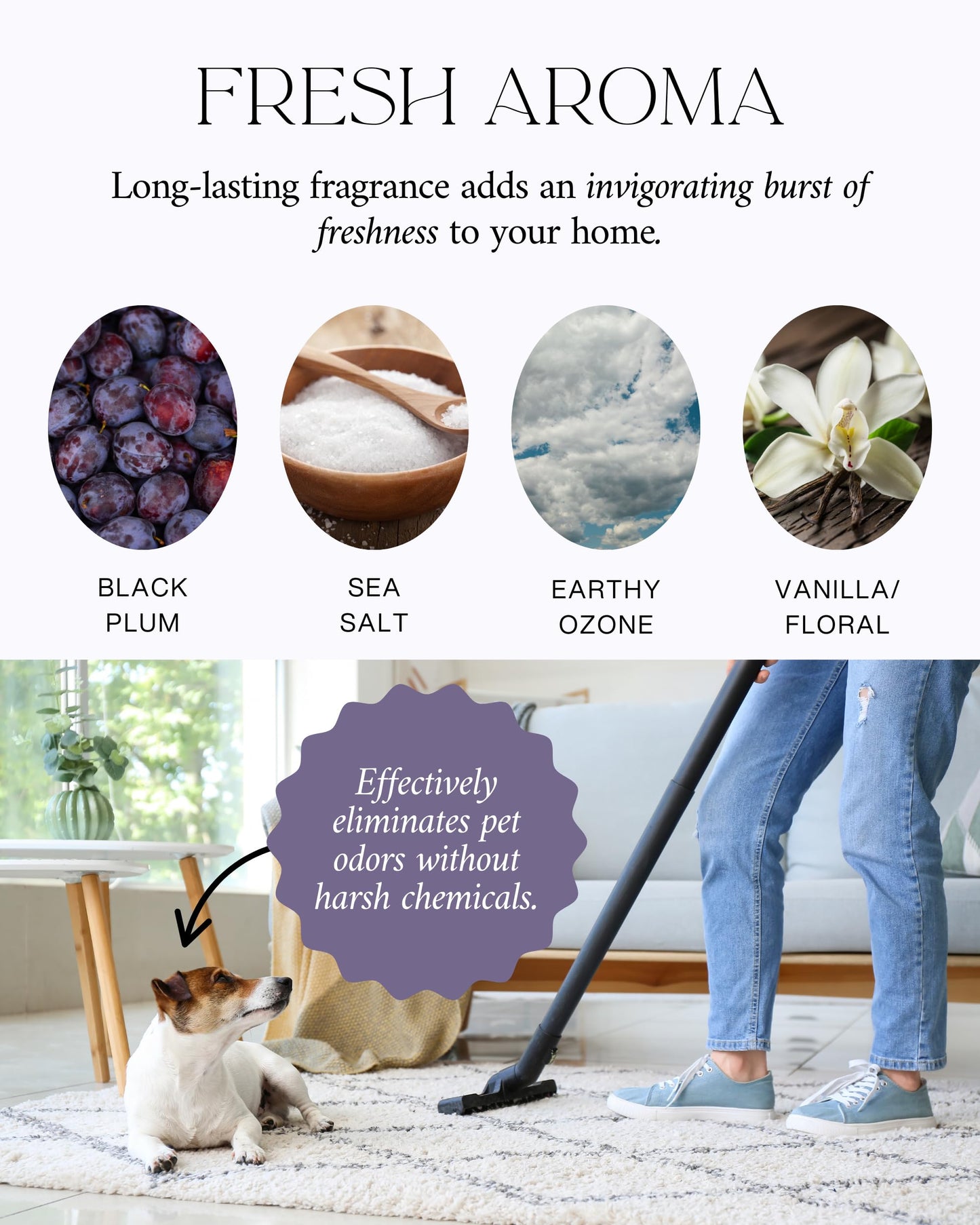 The Diamond Life Home "Noir Luxe" Eco-Friendly Carpet Powder/Upholstery Deodorizer – Black Plum, Sea Salt, and Ozone – Eliminates Odors Naturally, Cat Litter/Dog Bed Pet-Friendly, 15 oz