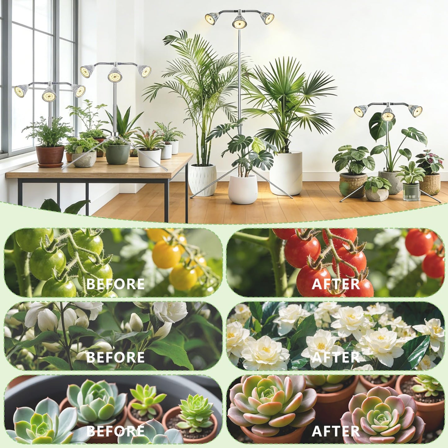 Full Spectrum Grow Lights for Indoor Plants, 3 Heads Aluminum Alloy Growing Lamps Covers More Plants, 15-62In Height Adjustable Plant Light with Detachable Tripod Stand, Auto On/Off Timer for Offices