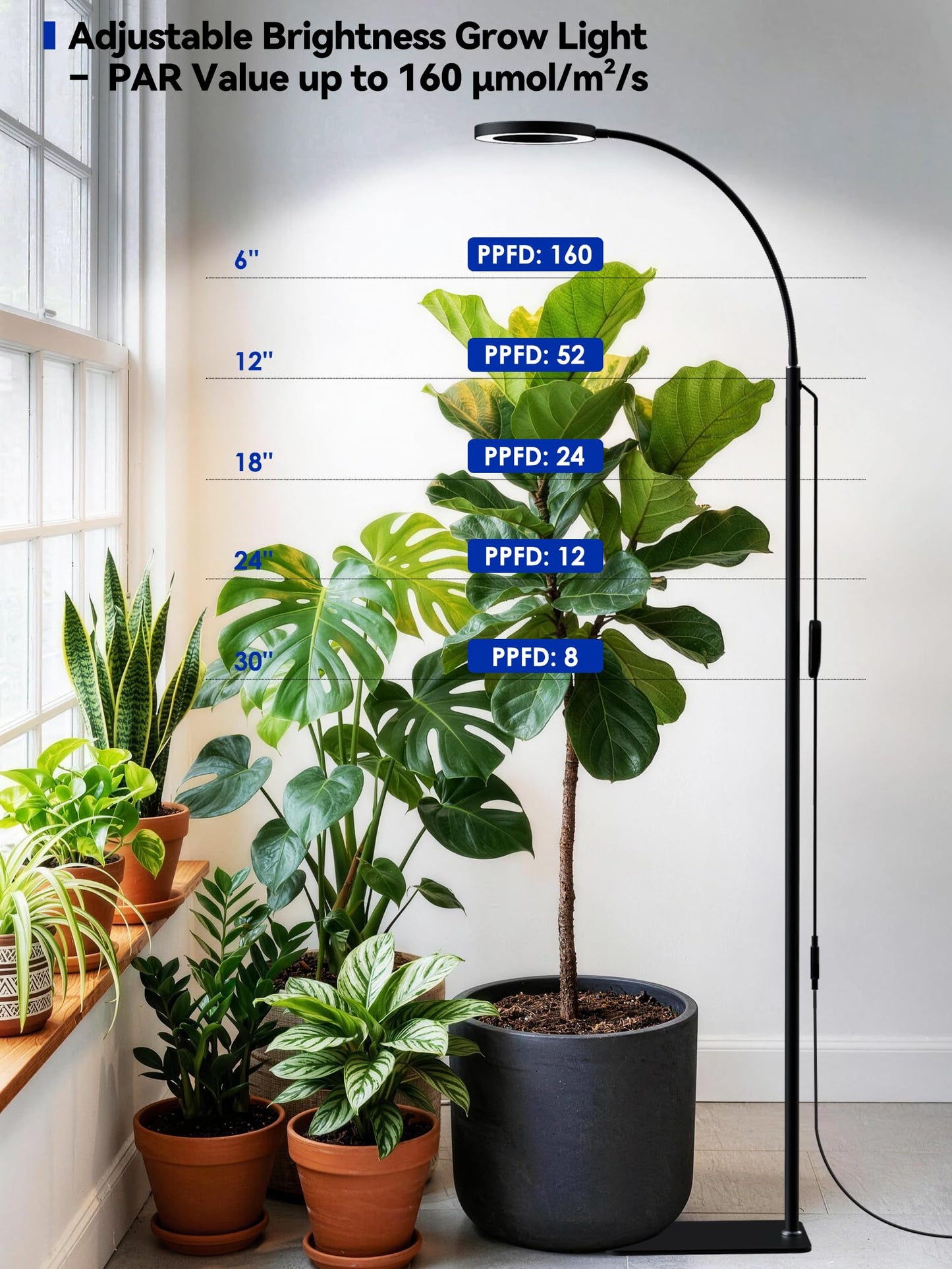 GLOWRIUM Grow Lights for Indoor Plants, Full Spectrum LED Grow Light Floor Lamp with Stand Adjustable Height and Angle, Black Plant Light with 3/9/12H Grow Light Timer (Black, 20W)