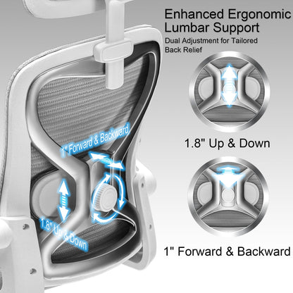 Ergonomic Office Chair for Back & Neck Pain Relief, Virgin Foam Seat, 2D Adjustable Lumbar & 3D Headrest, Tilt & Rock for Relaxation, Ideal for Long Sitting Comfort, Gray/Silver