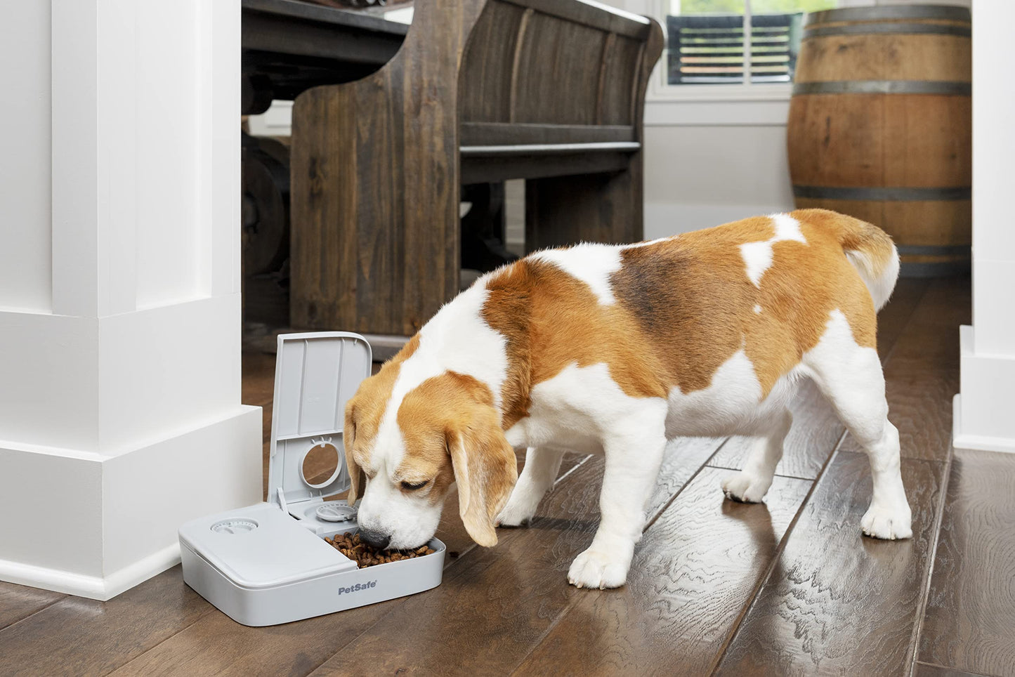 PetSafe 2 Meal Automatic Feeder, Built-in Timers, BPA Free Food Bowl, Suitable for Dry Food,Grey