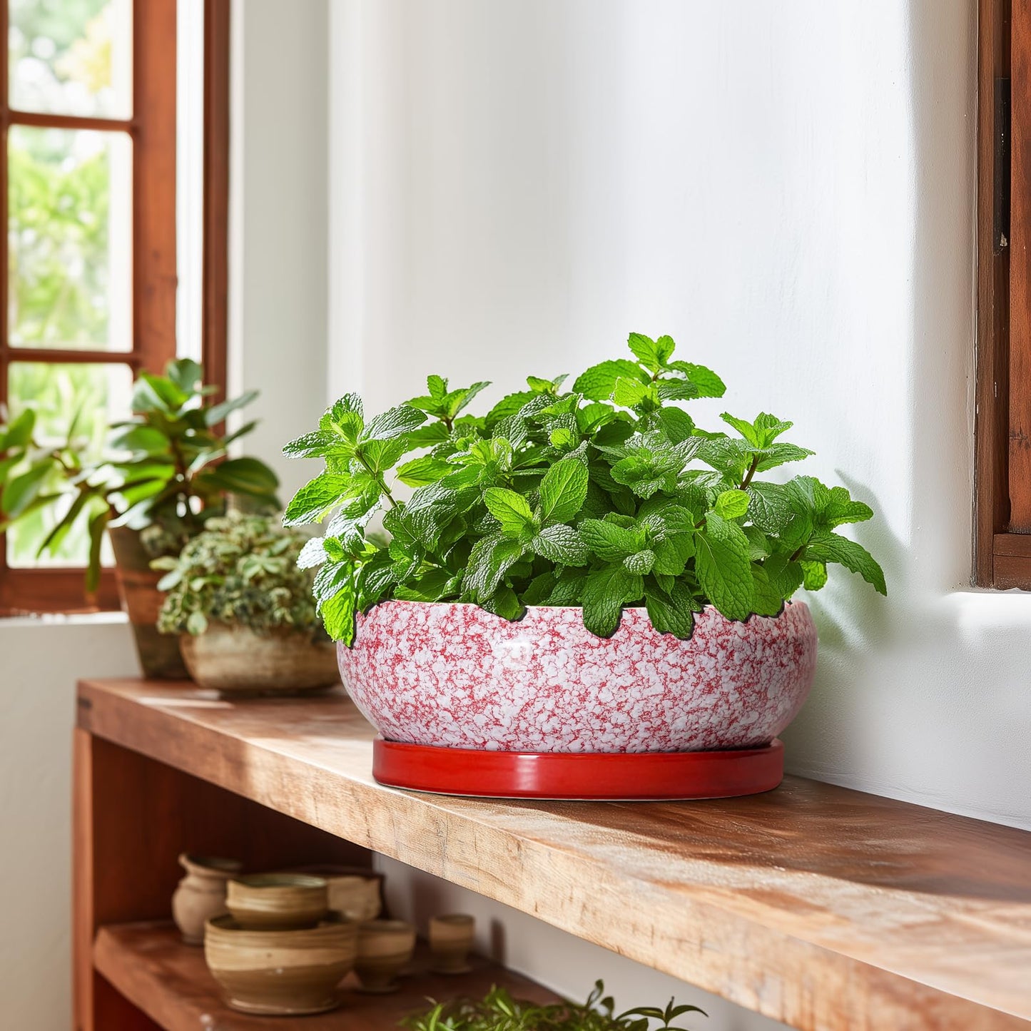 EPFamily Bonsai Pots 10 Inch - Ceramic Succulent Planters for Indoor Plants Outdoor, Succulent Pots with Drainage Hole and Tray, Round Shallow Planter, Bonsai Planter, Home Decor, Gardening Gift, Red