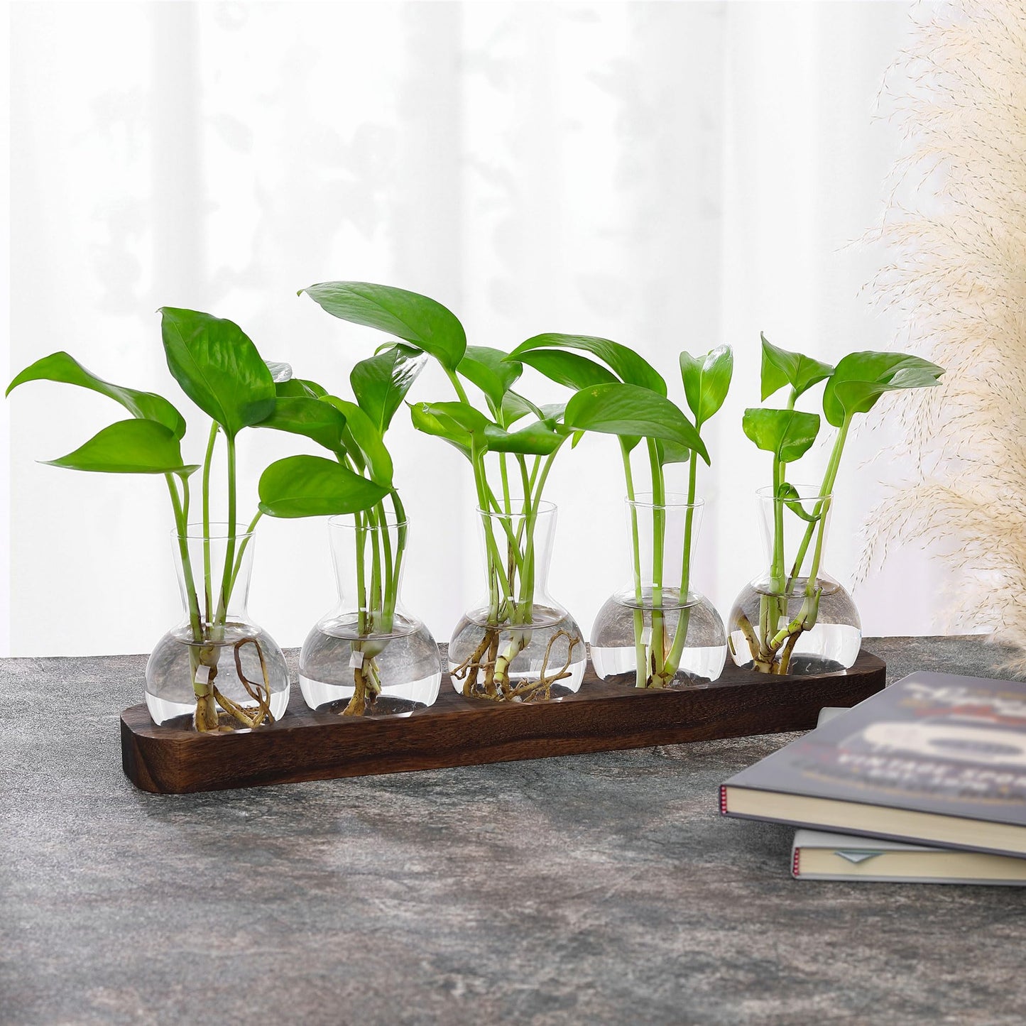 YIBOT Plant Propagation Stations,Glass Propagation Vases for Plants Terrarium with Wooden Tray Plant Lover Gifts for Propagating Hydroponic Plants Home Office Decor(5 Vase)