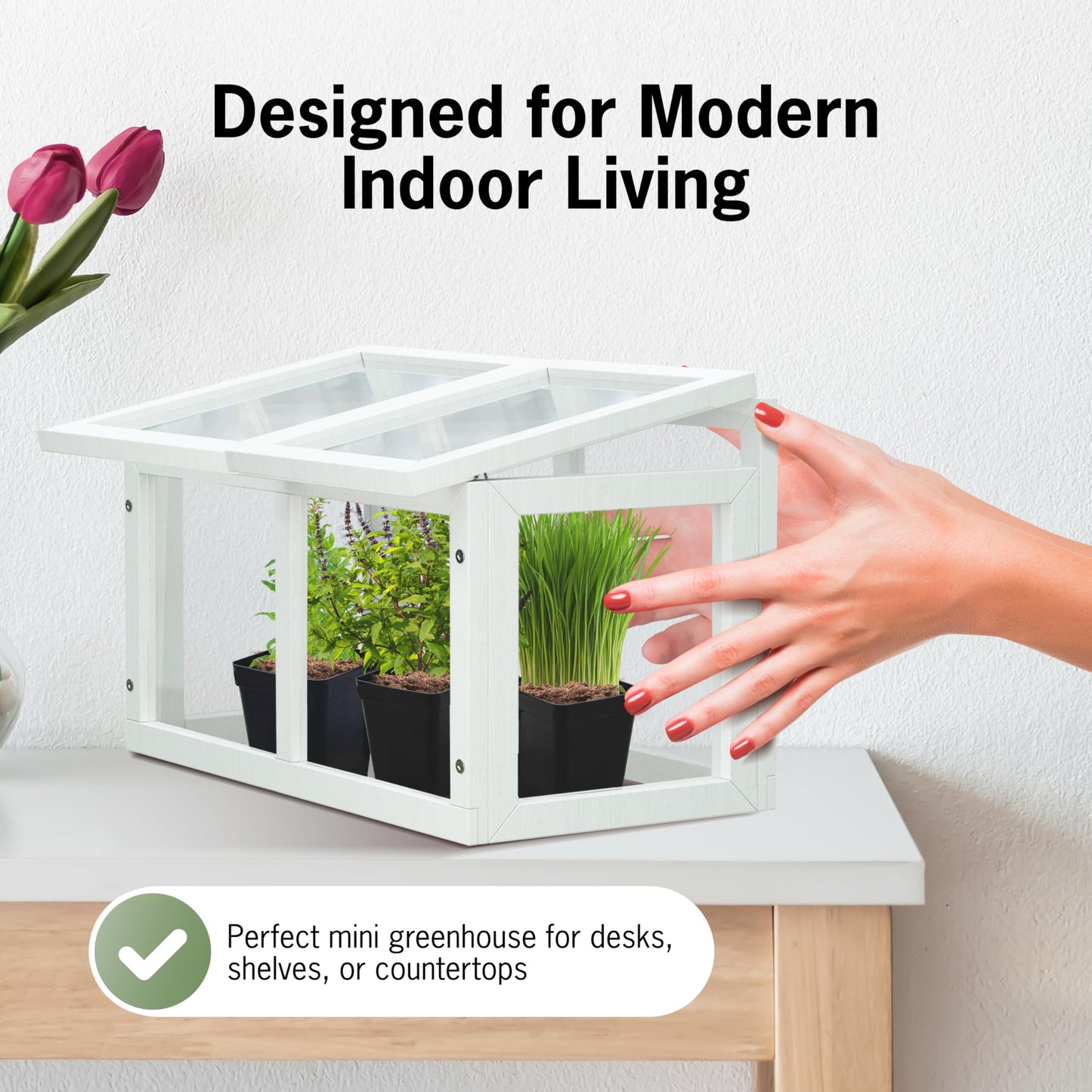 Mini Tabletop Greenhouse 12"x8" – Compact Indoor Plant House with Clear Acrylic Panels & Wood Frame with 4" Pots for Herbs, Seedlings, Cuttings & Propagation - Cat Safe