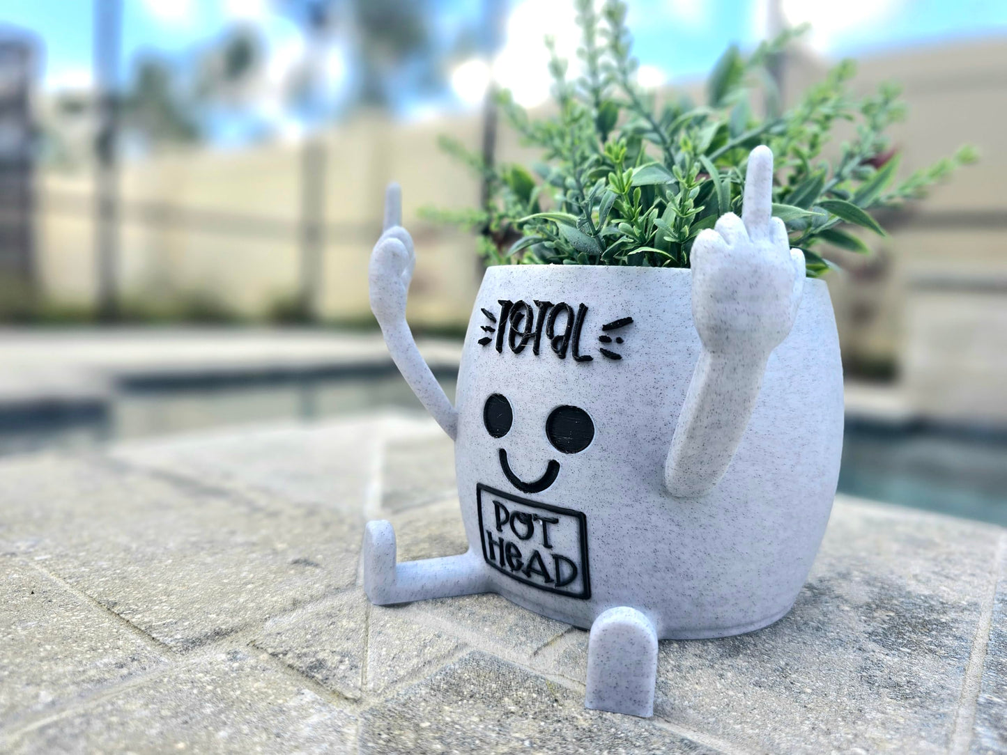 Funny Face Head Planter Pot, Unique Small Succulent Flower Pot, Cute Cactus Planter, Indoor Outdoor Home Decor, Office Desk Plant Pot, Novelty Gardening Gift Set (Please Don't Die, Medium)