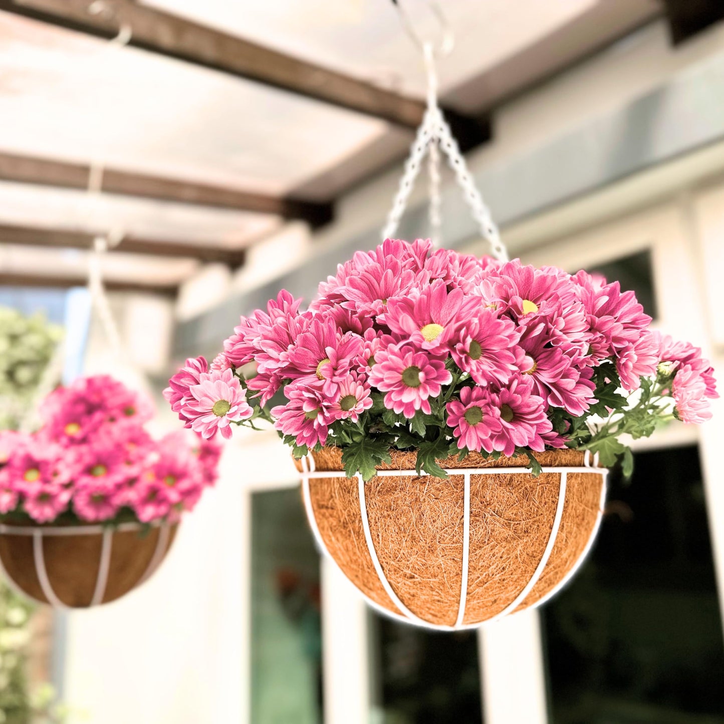 LaLaGreen Hanging Baskets for Plants (2 Pack, 10 Inch) White Hanging Planter Outdoor with Coco Liner, Metal Wire Flower Basket Pots Holder Hanger Hook Deck Patio Porch Garden Balcony Outside Decor