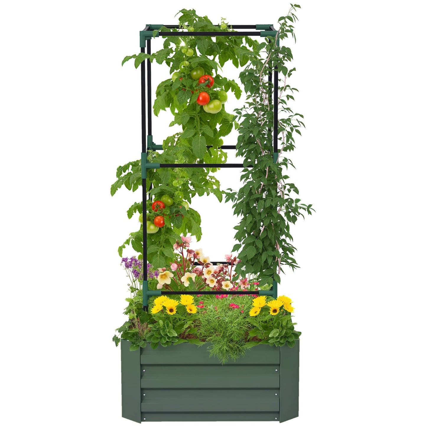 Outsunny Galvanized Raised Garden Bed, 55" Tall Outdoor Planter Box with Trellis Tomato Cage and Open Bottom for Climbing Vines, Vegetables, Flowers in Backyard, Garden, Patio, Green