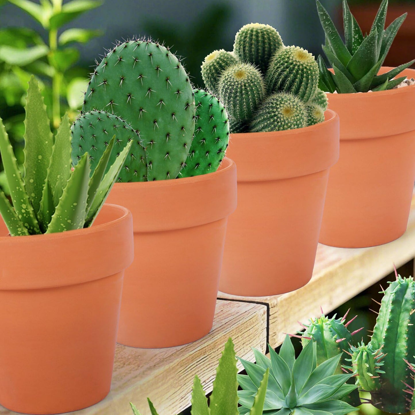 CUZZME 26 Pack Terra Cotta, 3inch Small Clay Flowerpots with Drainage Hole, Terracotta Pot for Indoor Outdoor Plant, Great for Plants, DIY Crafts