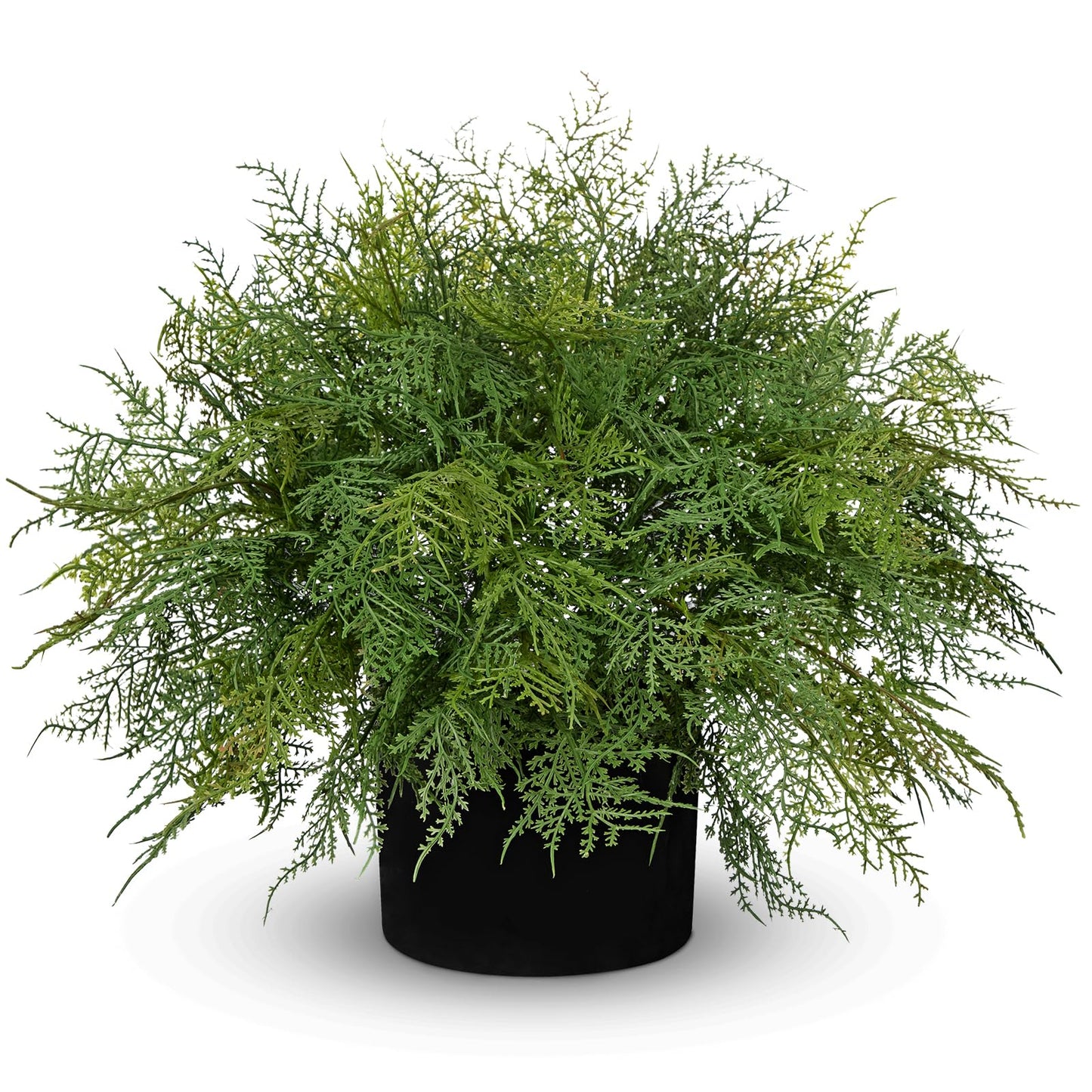 Hollyone 16.9" Artificial Cedar Fern Faux Cedar in Pot Fake Ferns for Outdoors Indoor Large Ferns Faux Potted Plants Greenery Bush for Door Patio Garden Farmhouse Windowsill Office Room Home Decor