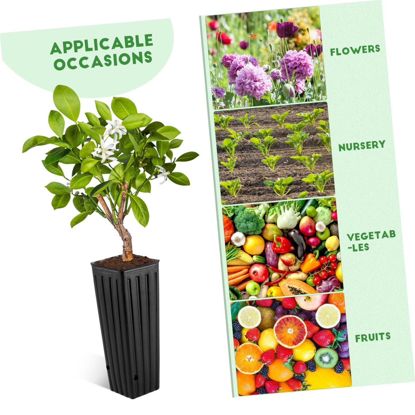 YARNOW 50pcs Tall Nursery Pots for Trees, 11.8 x 3.9 Inch, Black Plastic Grow Bags with Drainage Holes for Vegetables, Fruits, and Flowers