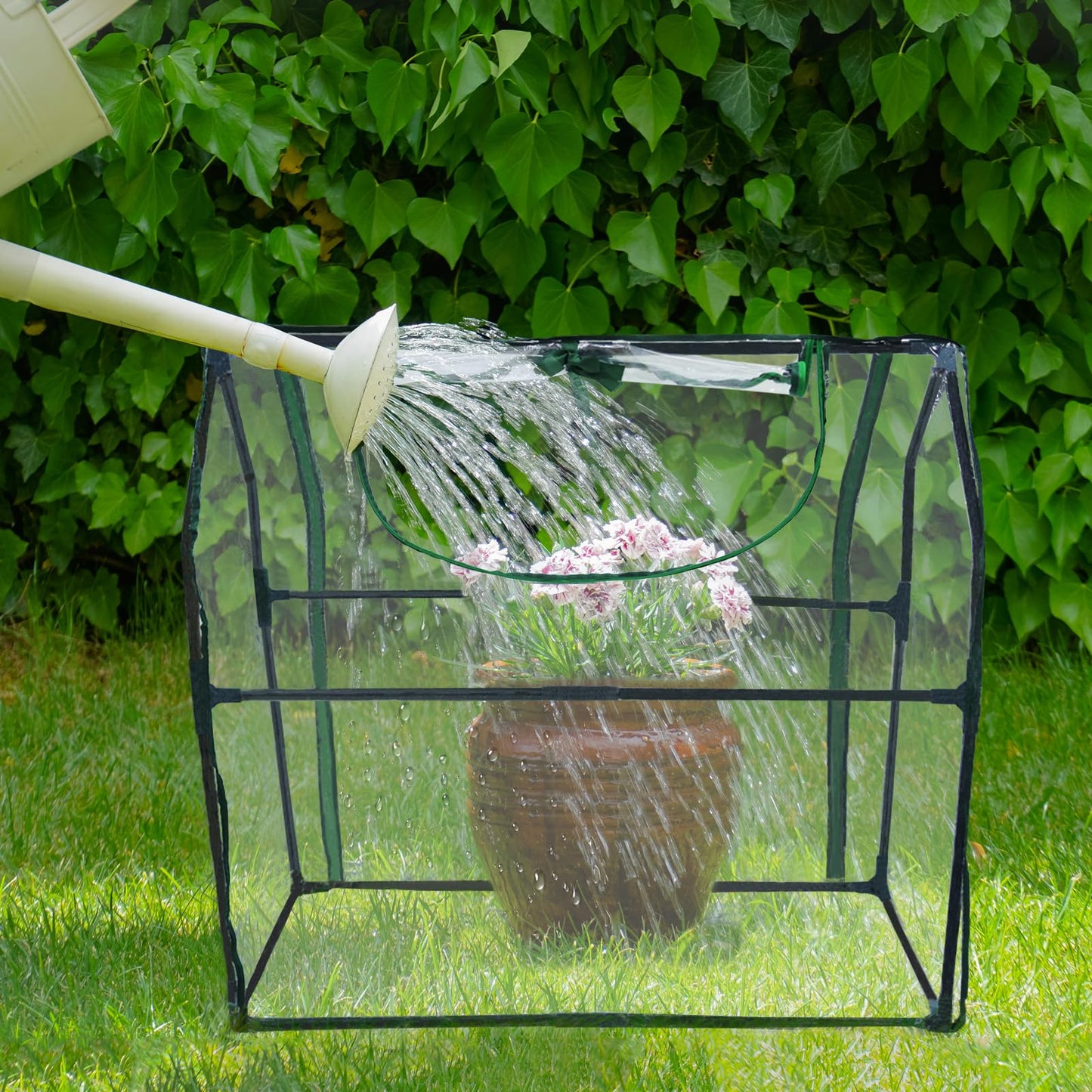 Wironlst Mini Greenhouse for Outdoors Indoor, Small Greenhouse with Innovative Dual Open Doors, Portable Garden Tent for Plants Protection (Transparent, 36"(L) x18(W) x33(H))