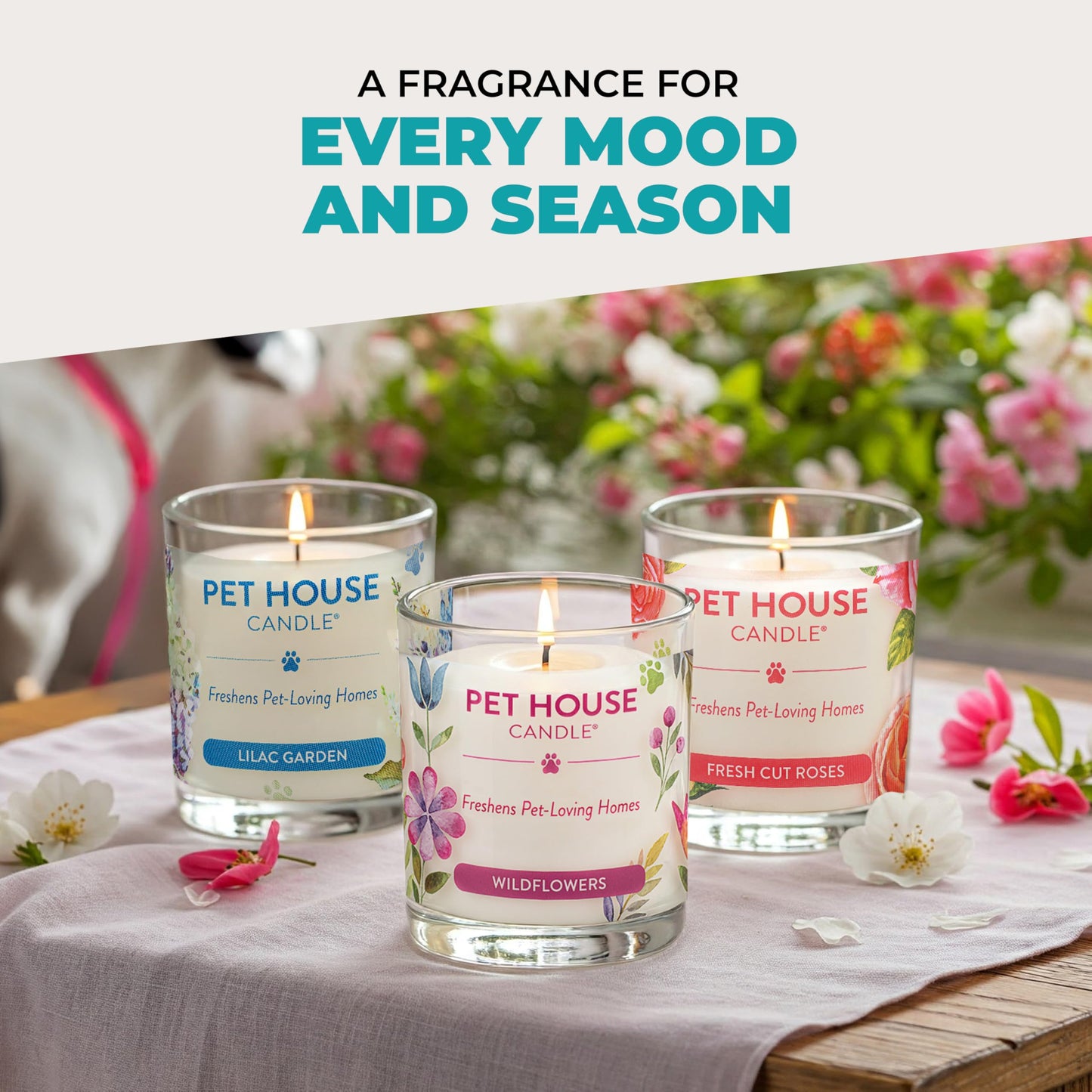 Pet House Scented Candles, 100% Plant-Based, Long Lasting Candle with a 60 Hour Burn Time, Made for Pet Odors - Mediterranean Sea