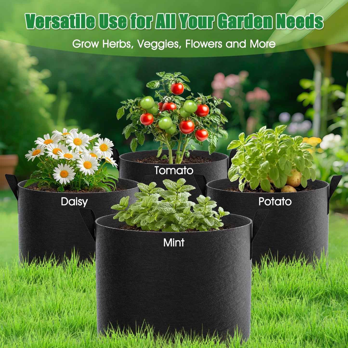 FEED GARDEN 10 Gallon Grow Bags 8 Pack – 300G Thickened Fabric Plant Pots with Reinforced Handles, Breathable Drainage Planters for Vegetables, Tomatoes, Herbs, Indoor & Outdoor Gardening