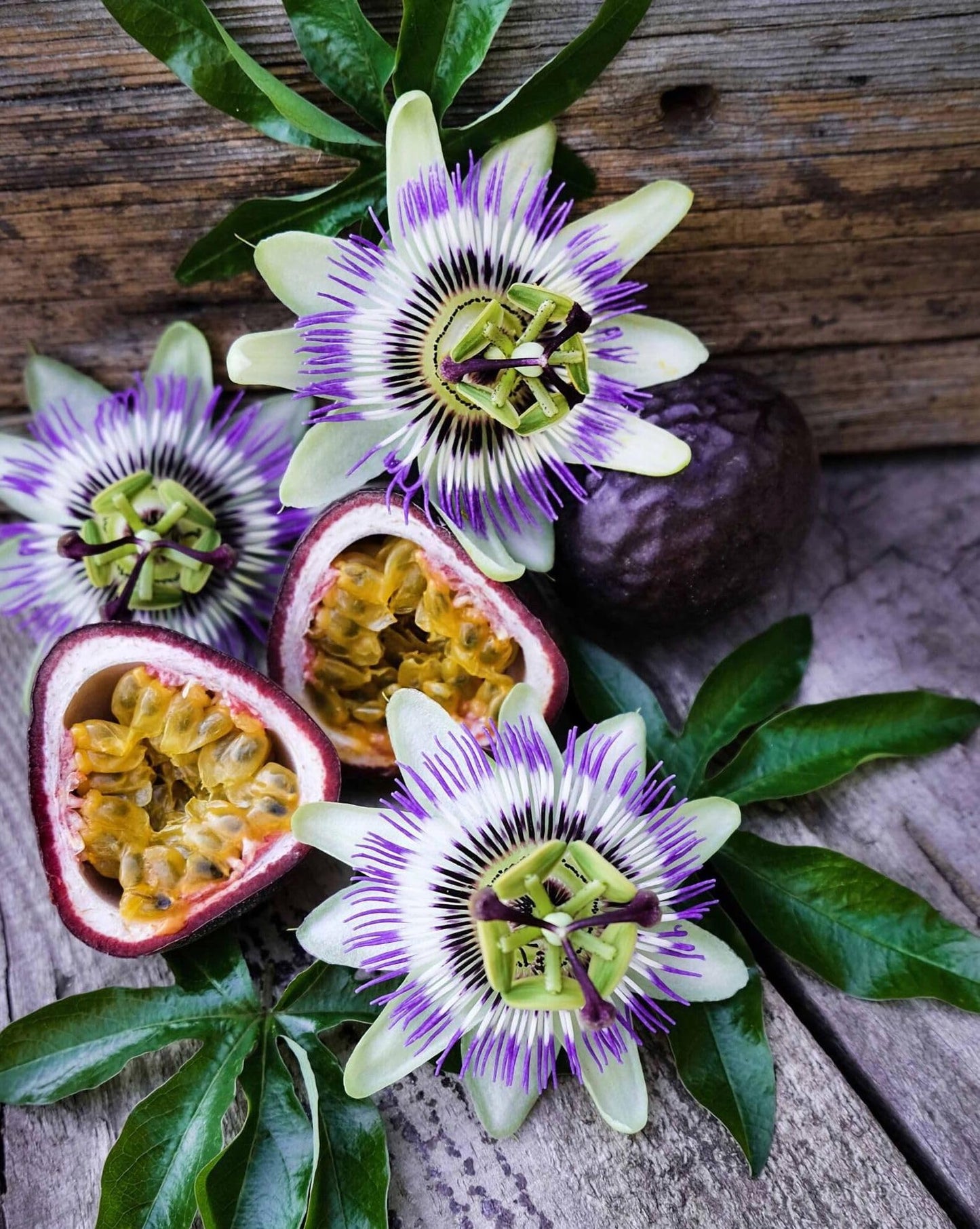 400 pcs Passion Fruit Seeds Tropical Climbing Vine Outdoor Indoor Home Garden Plant Seeds Heirloom