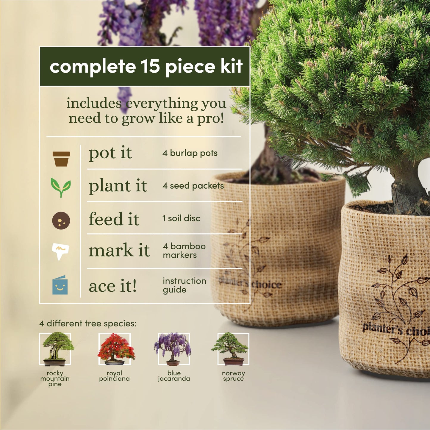 Bonsai Starter Kit - Gardening Mothers Day Gifts for Women & Men - Bonsai Tree Growing Garden Crafts Hobby Kits for Adults, Unique DIY Hobbies for Plant Lovers - Unusual Gifts Ideas Mom, Her, Friend