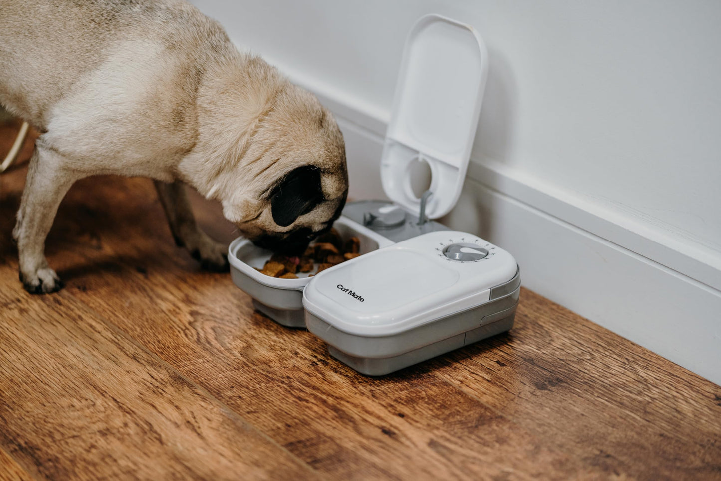Cat Mate C200 Automatic 2 Meal Timer-Controlled Pet Feeder (401) - For Cats and Small Dogs, Includes Ice Pack for Wet and Dry Food, Meals up to 400 g Each, White