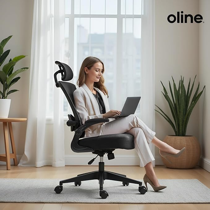 Oline ErgoAir Ergonomic Office Chair – Adjustable Lumbar Support, Flip-Up