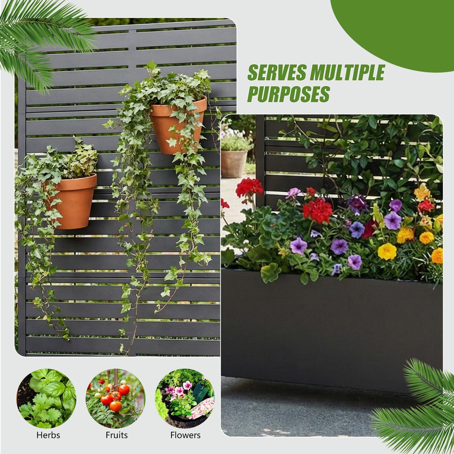 Casaphoria 72"x35" Metal Raised Garden Bed with Trellis(2 Pack), Outdoor Planter Box with Wheels & Drainage Holes for Climbing Plants, Flowers, Elevated Garden Kit with Privacy Screen, Black-Louvered