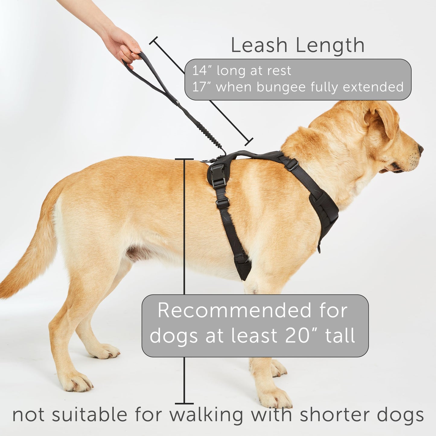 TUG Grab Dog Harness | Integrated Traffic Leash Magnetically Attached for Quick Control (Medium/Cream)