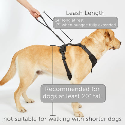 TUG Grab Dog Harness | Integrated Traffic Leash Magnetically Attached for Quick Control (Medium/Cream)