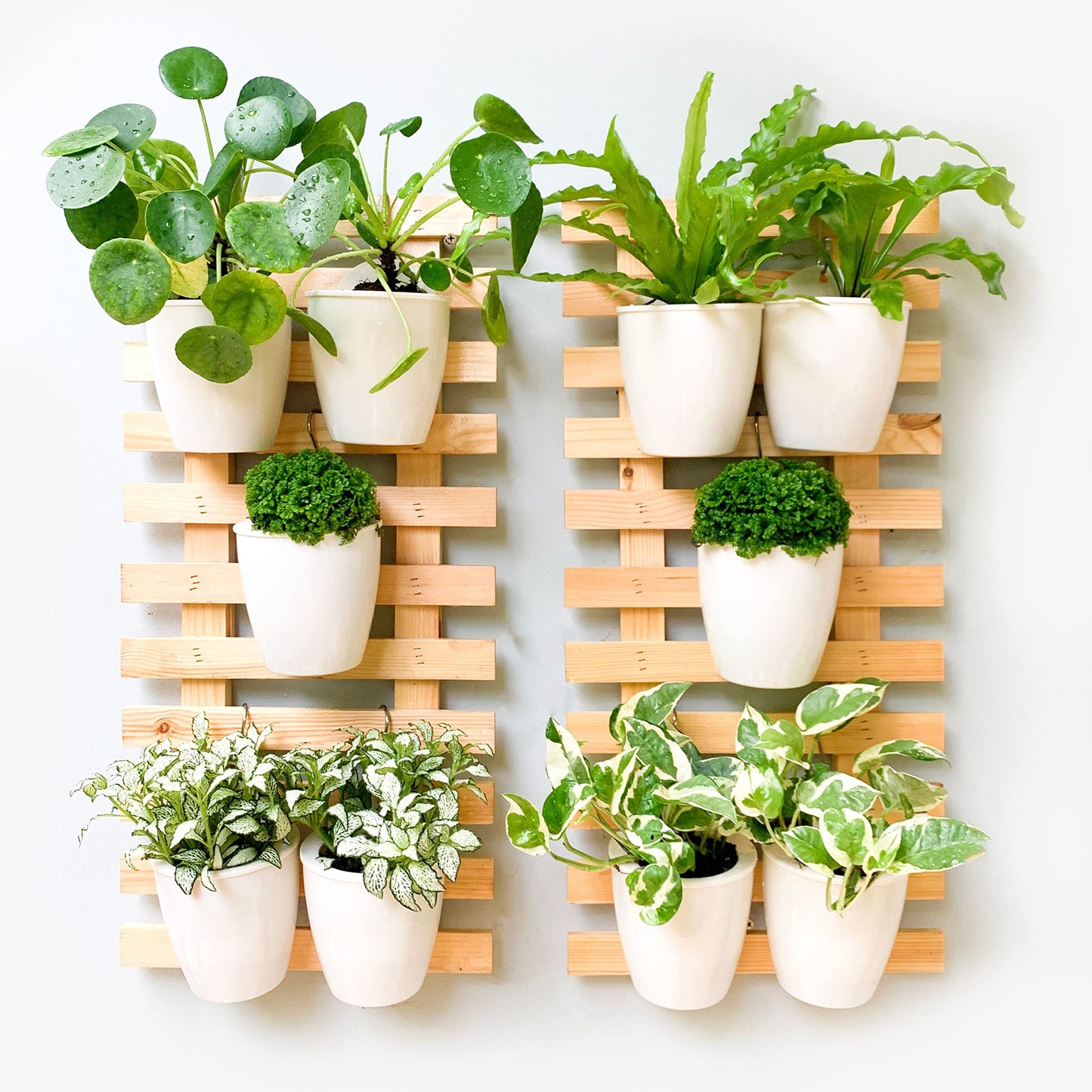 ShopLaLa Wooden Wall Planter - 2 Pack Wall Hanging Planters for Indoor Plants Ladder Wall Mount Natural Wood Holder Flower Pots Vertical Living Balcony Unique Large Green Plant Decor 23.6" (60cm)