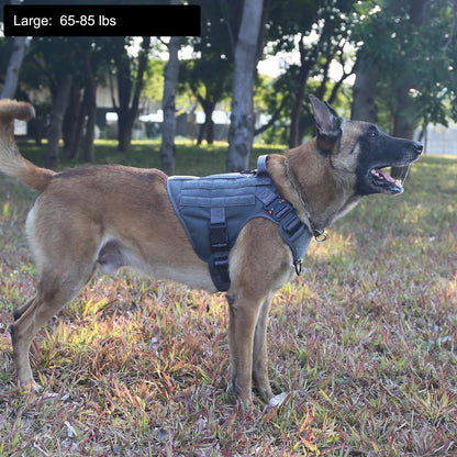 ICEFANG Tactical Dog Harness,Large Size, 2X Metal Buckle,Working Dog MOLLE Vest with Handle,No Pulling Front Leash Clip,Hook and Loop Panel