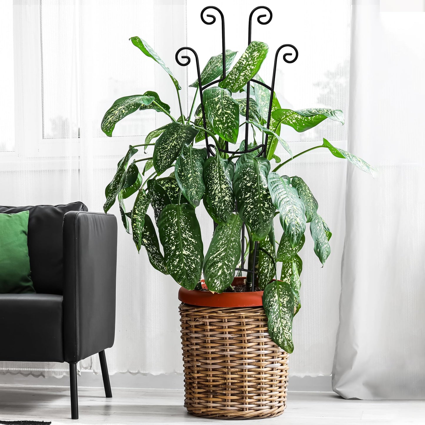 Xeeol 32.6in Plant Trellis for Climbing Plants Indoor Outdoor, Expandable Large Metal Garden Trellis for Potted Plants, Heavy-Duty Tall Pothos Plant Climber Support for Ivy Pothos Hoya Monstera, 2P