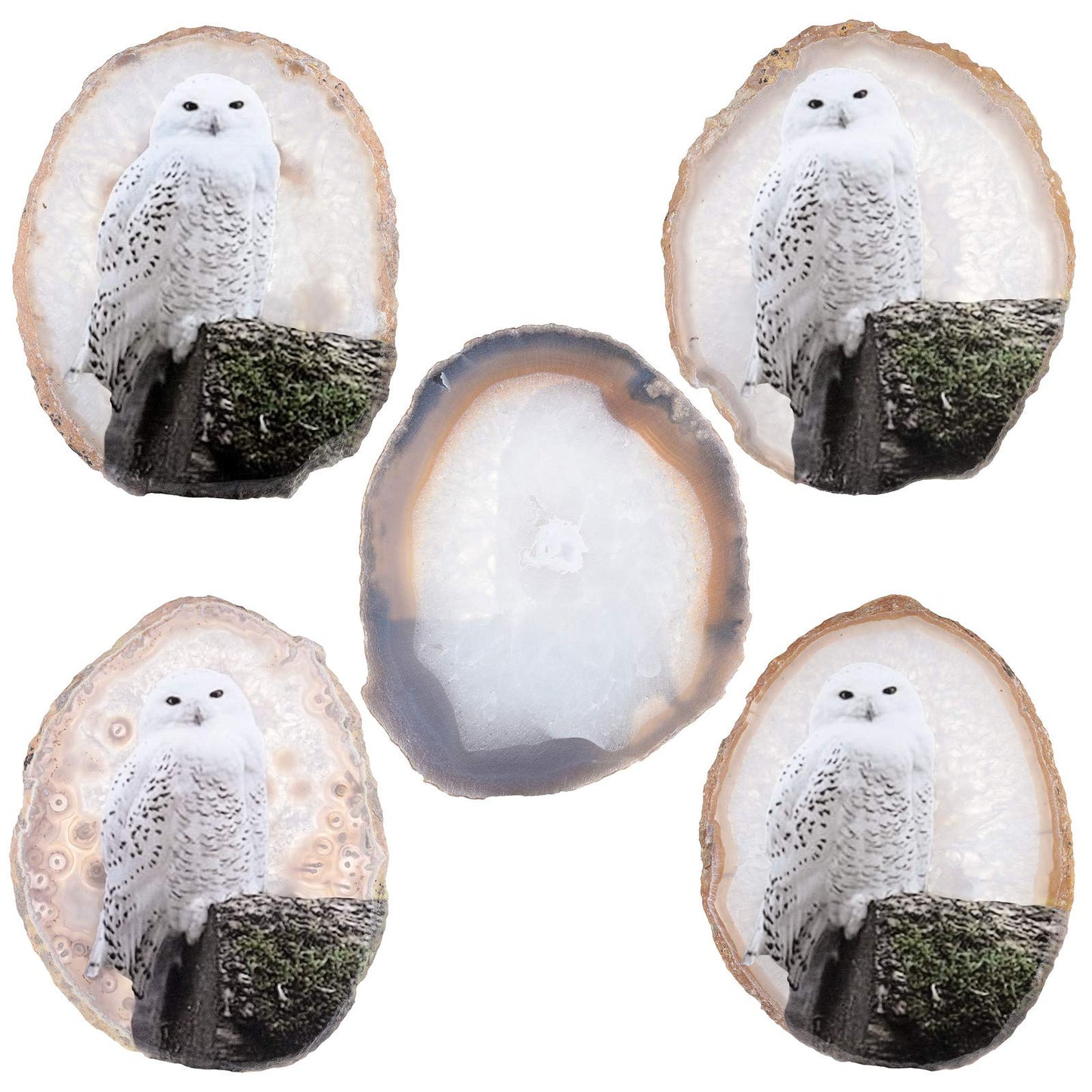 Rockcloud Snowy Owl Agate Slab Display with Wooden Stand Irregular Shape Agate Slice Stone Home Office Desk Ornament, 3.9"-4.7"